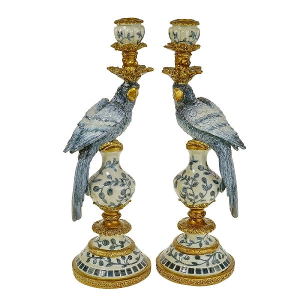 Bougeoir Perroquet Oiseau .Bleu