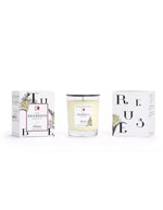 Emballage de la Bougie parfumee geodesis tubereuse 180g verre transparent fleur blanche fabriquee en bretagne