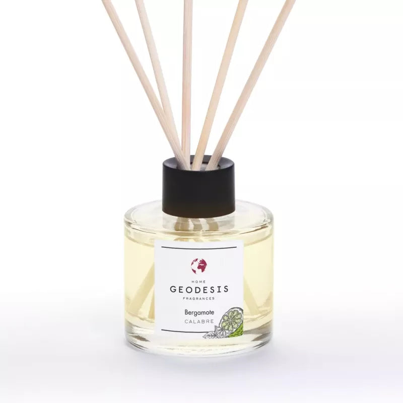 Diffuseur d'Ambiance 100 ml