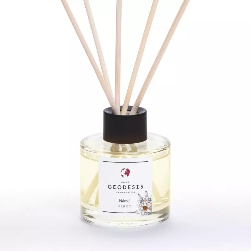 Diffuseur d'Ambiance 100 ml