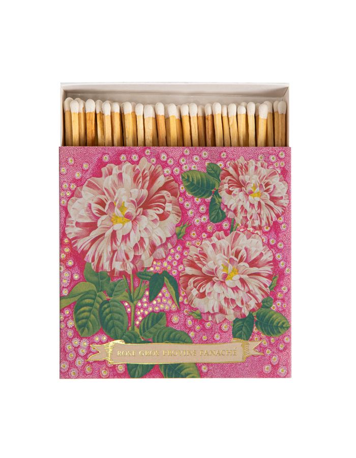 trinity-allumettes-petunia-archivist-1