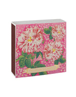 trinity-allumettes-petunia-archivist-2