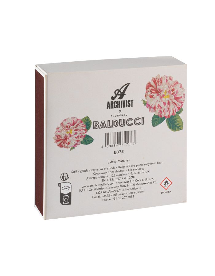 trinity-allumettes-petunia-archivist-3