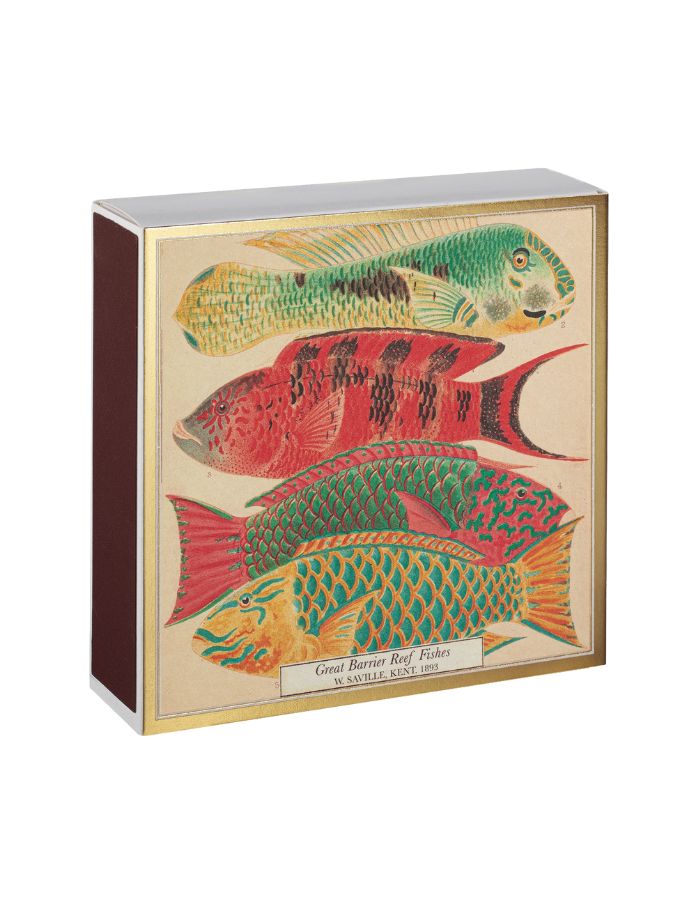 trinity-allumettes-poissons-archivist-2