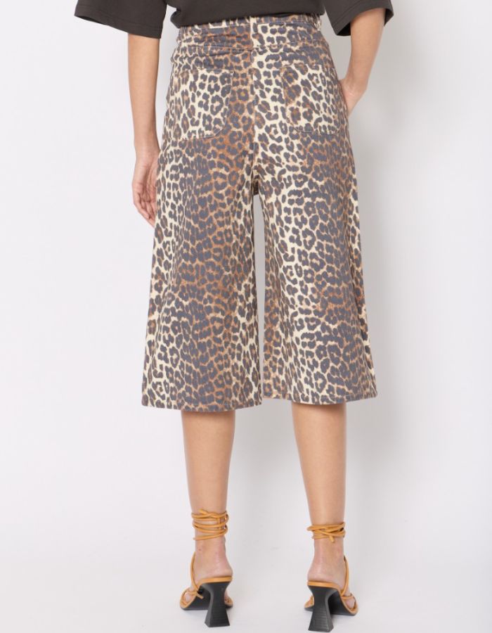 trinity-bermuda-pbarbados-leopard-berenice-2