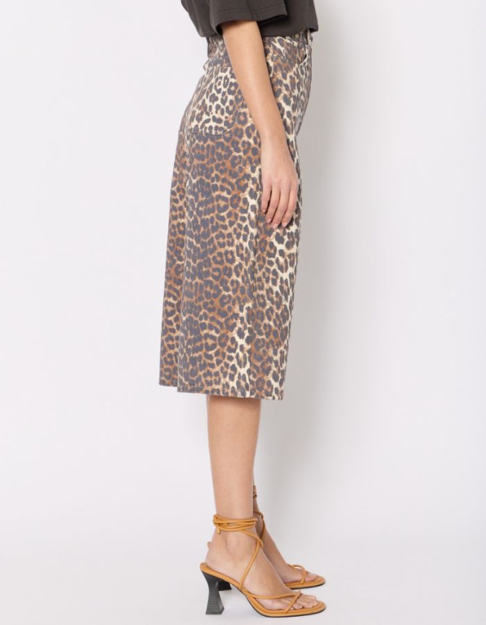 trinity-bermuda-pbarbados-leopard-berenice-3