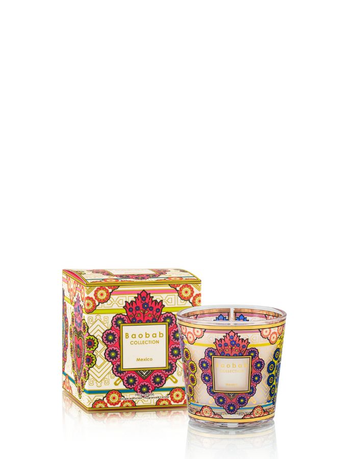 trinity-bougie-my-first-baobab-mexico-baobab-collection-1