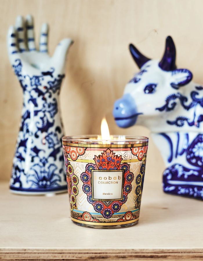 trinity-bougie-my-first-baobab-mexico-baobab-collection-2