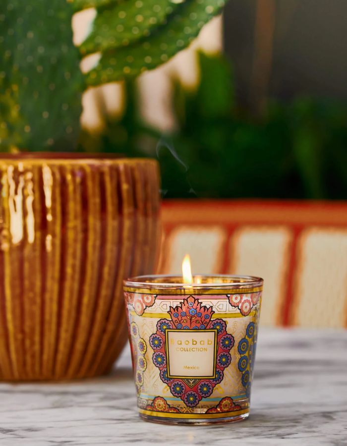 trinity-bougie-my-first-baobab-mexico-baobab-collection-3