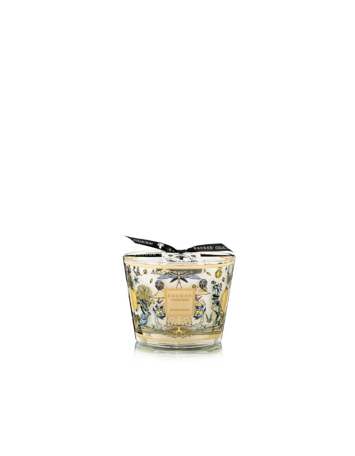 Bougie parfumée Baobab Collection Tomorrowland 2026 en verre blanc avec illustrations dorées d'arbres, oiseaux et papillons.