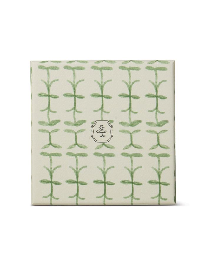 trinity-bougie-verbena-lemongrass-paddywax-7