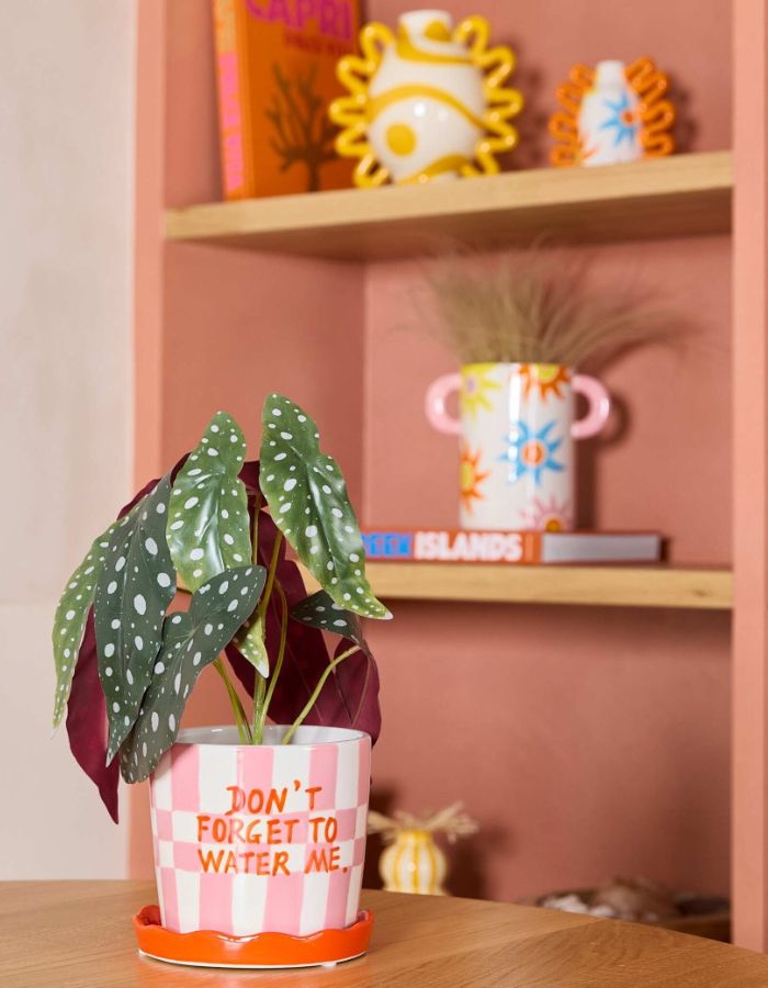 Ambiance déco avec le Cache-pot rond en céramique fait main Lior de la marque Qué Rico, posé sur sa coupelle assortie. Motif graphique Squares and Stripes peint à la main avec des carreaux et des rayures de couleur rose, orange et blanche.