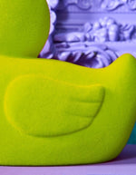 trinity-canard-couronne-verte-wermer-2