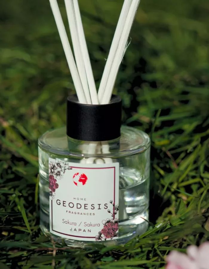 trinity-diffuseur-ambiance-100ml-fir-balsam-geodesis-3