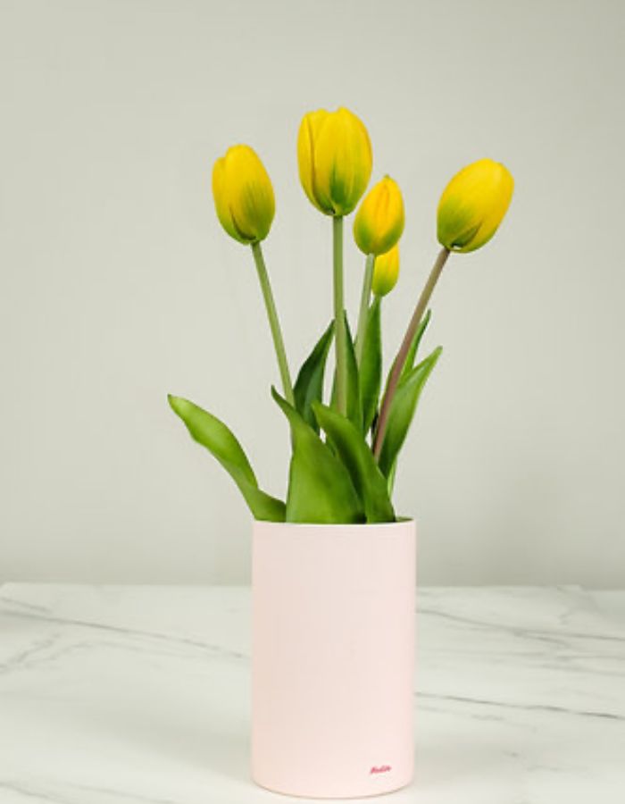 trinity-fausses-tulipes-nodito-jaunes-1