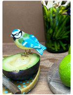 trinity-figurine-oiseau-mesange-bleue-lequipee-3