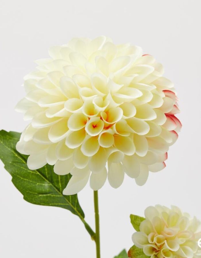 trinity-fleur-artificielle-dahlia-blanc-enzo-de-gasperi-2