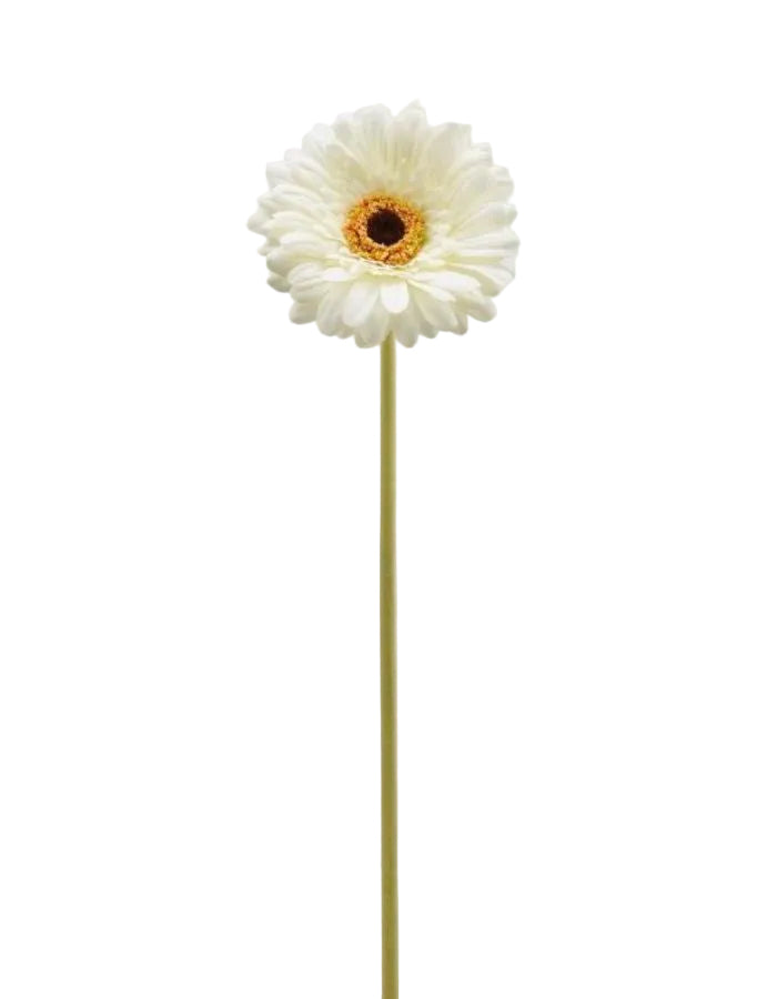 Fleur artificielle Gerbera ivoire réaliste avec centre orange et tige verte.