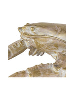 trinity-homard-a-poser-dore-cote-table-3