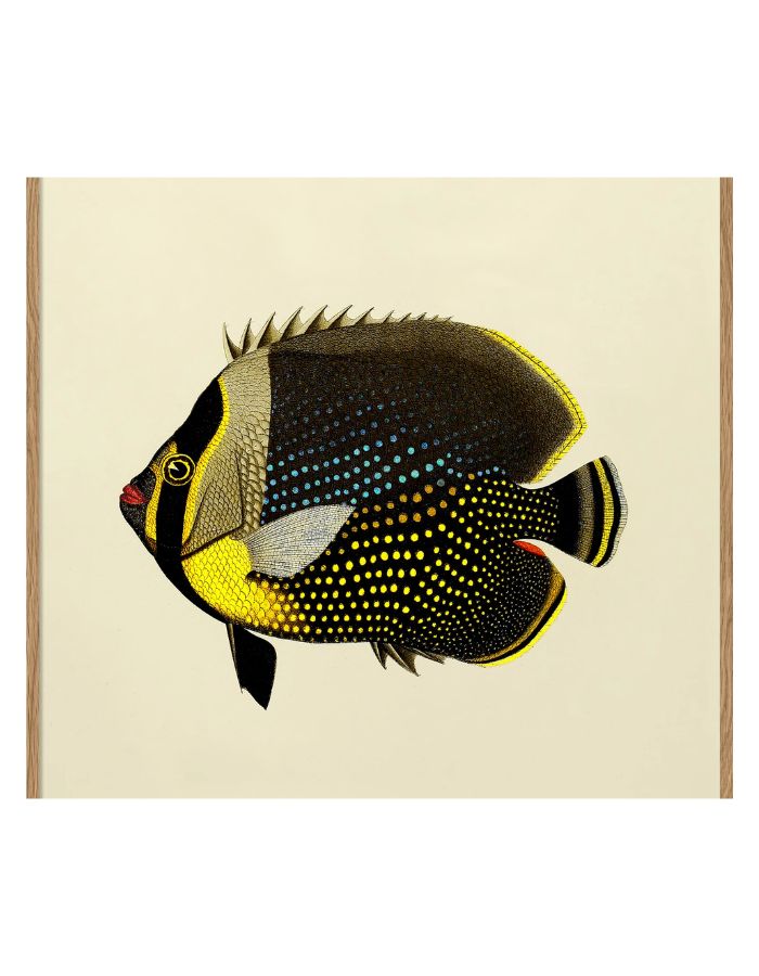 trinity-illustration-encadree-black-fish-the-dybdahl-co-1
