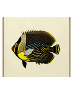 trinity-illustration-encadree-black-fish-the-dybdahl-co-1