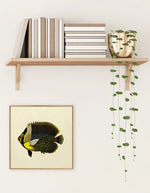 trinity-illustration-encadree-black-fish-the-dybdahl-co-2