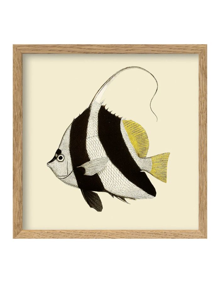 trinity-illustration-encadree-black-white-fish-the-dybdahl-co-1