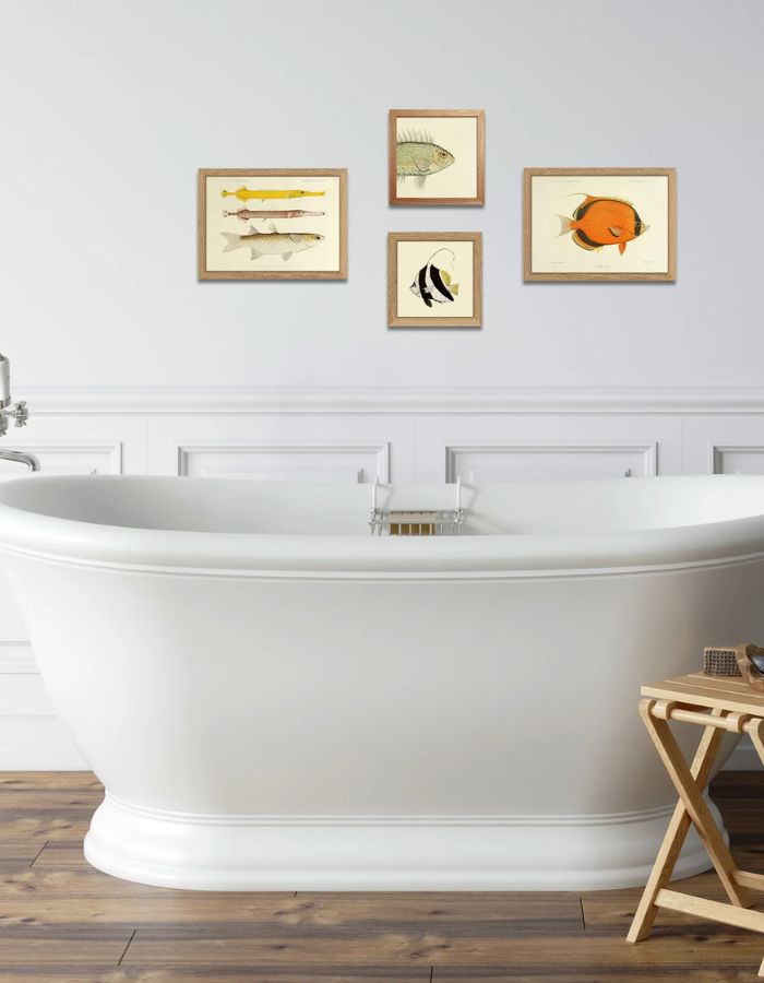 trinity-illustration-encadree-blotched-bigeye-the-dybdahl-co-2_2bfa126a-396a-495e-a307-529b5cc8a52d