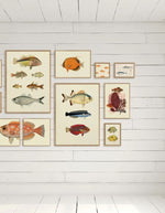 trinity-illustration-encadree-ninja-fish-the-dybdahl-co-3