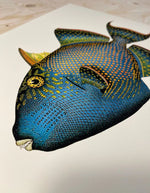trinity-illustration-encadree-trigger-fish-the-dybdahl-co-2