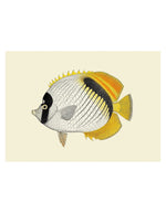 trinity-illustration-encadree-yellow-fin-the-dybdahl-co-2