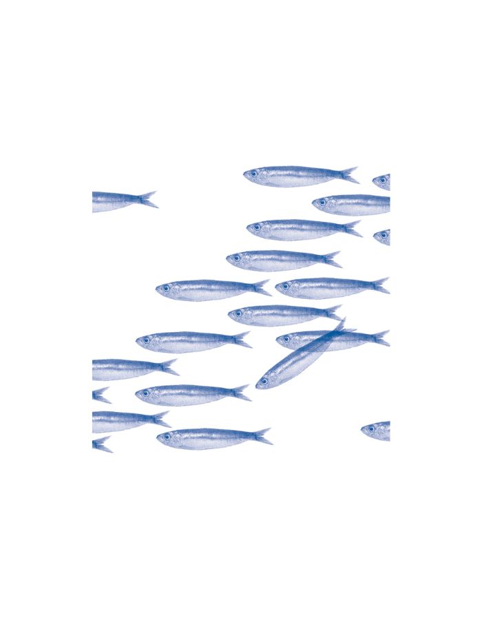 trinity-lot-20-serviettes-jetables-intisse-sardines-francoise-paviot-1