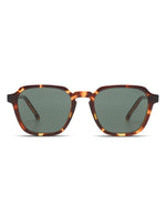 Lunettes de Soleil Matty Havana
