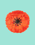 trinity-pince-cheveux-coquelicot-coucou-suzette-5