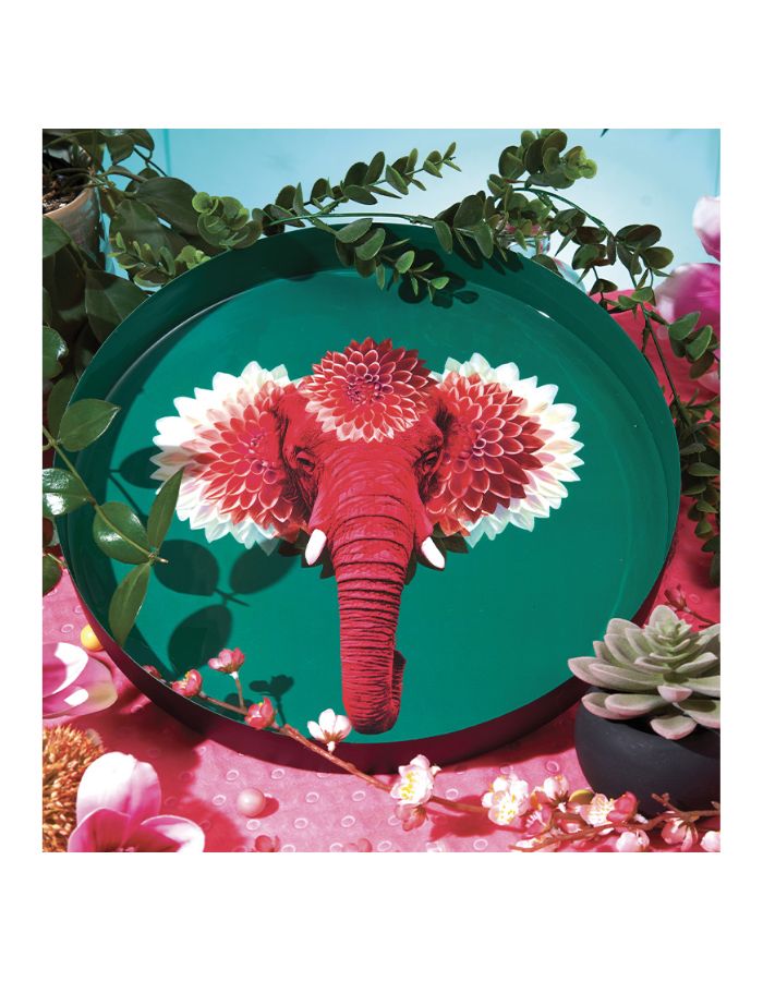 trinity-plateau-rond-pachiii-gangzai-3