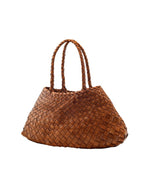 trinity-sac-santa-croce-big-tan-dragon-diffusion-2