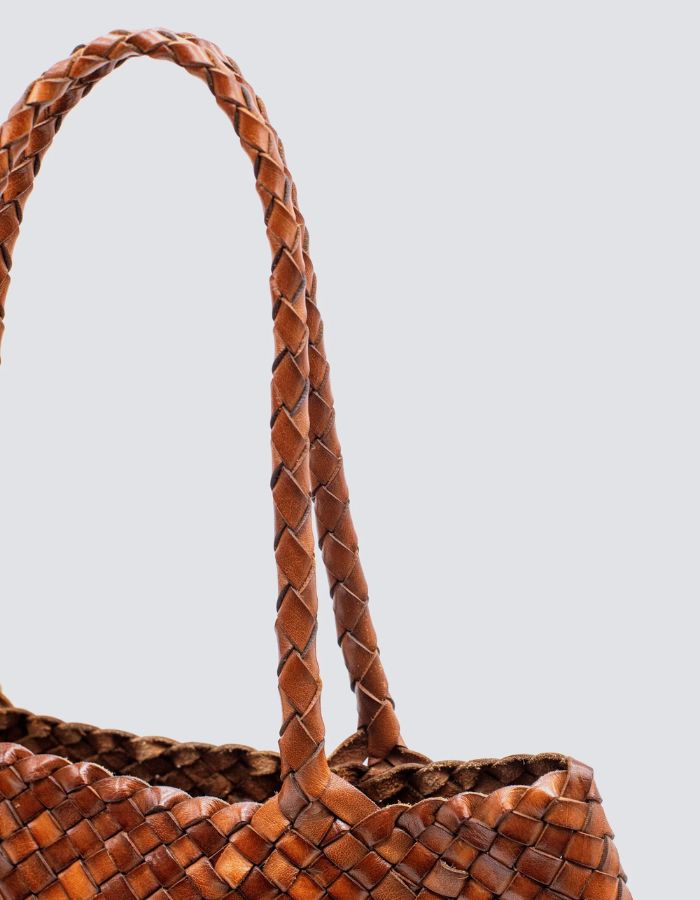 trinity-sac-santa-croce-big-tan-dragon-diffusion-4