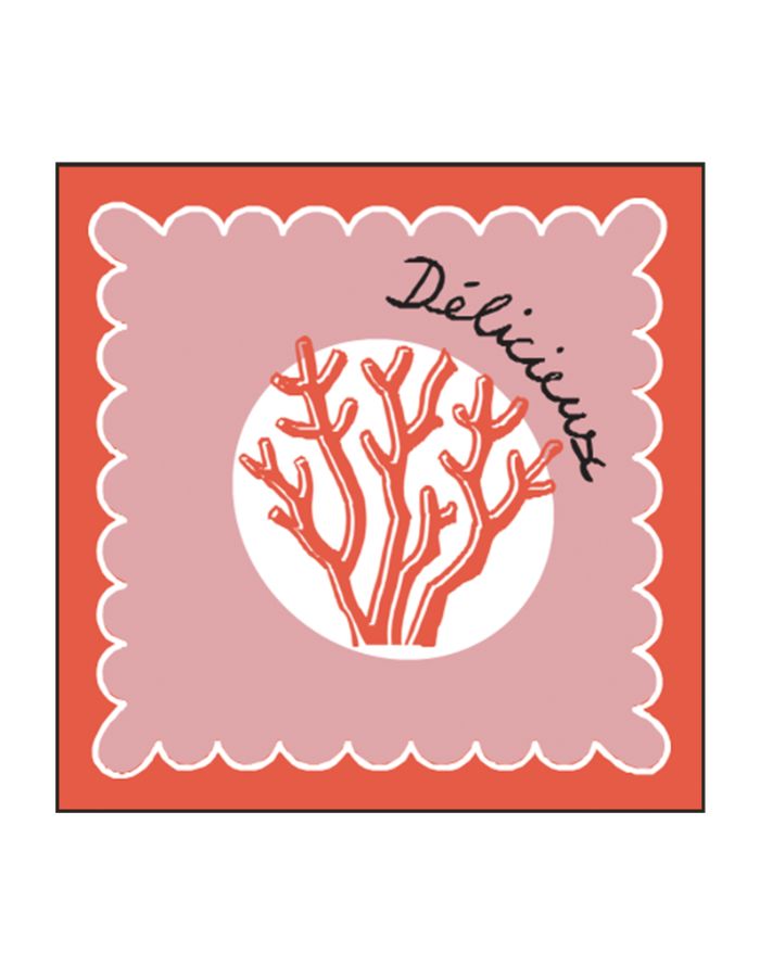 Lot de 20 Serviettes Papier Corail