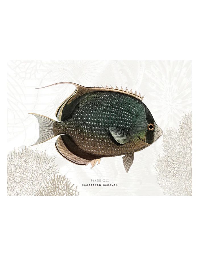 trinity-set-table-vinyle-lardier-podevache-1