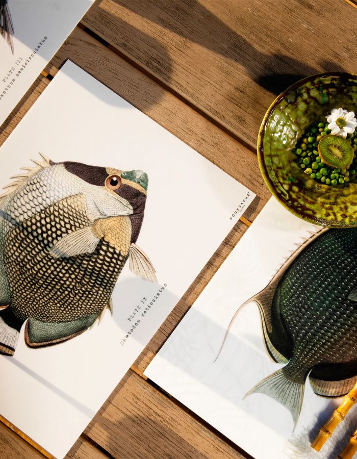 trinity-set-table-vinyle-lardier-podevache-3