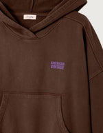 Sweat Capuche Plizzy Chataignier Vintage