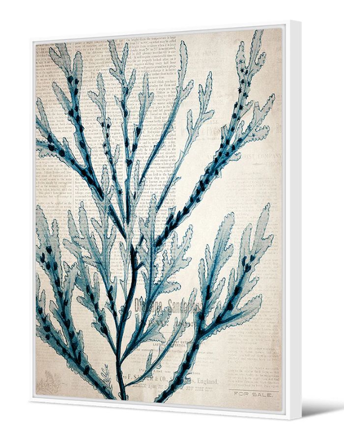 trinity-tableau-corail-liese-podevache-1