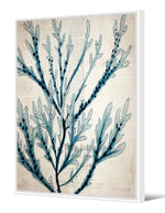 trinity-tableau-corail-liese-podevache-1