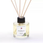 Diffuseur d'Ambiance 100 ml
