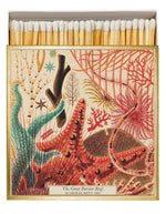 trinity-allumettes-great-barrier-reef-archivist-1