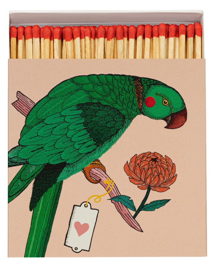 trinity-allumettes-parrot-archivist--1