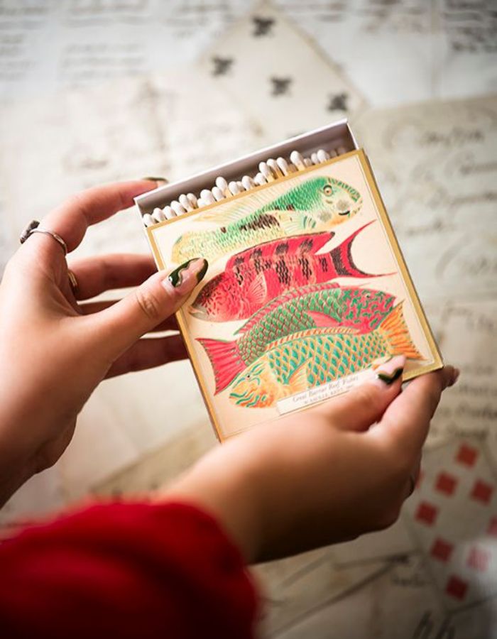 trinity-allumettes-poissons-archivist-4