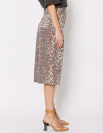 trinity-bermuda-pbarbados-leopard-berenice-3