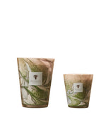 trinity-bougie-leaves-marius-baobab-collection-1