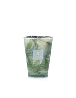 trinity-bougie-leaves-marius-baobab-collection-4